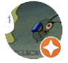 590優質當舖認證聯盟gooogle五星推薦